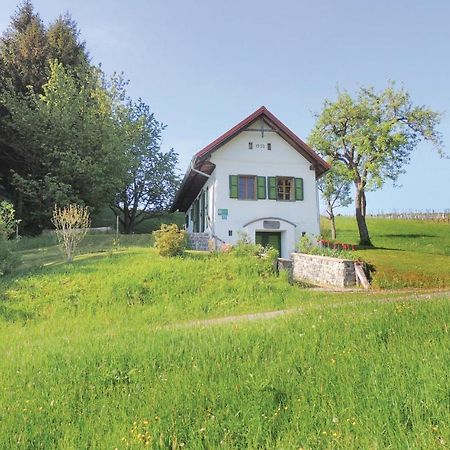 Haus In Strem Mit Panoramab, Villa ภายนอก รูปภาพ